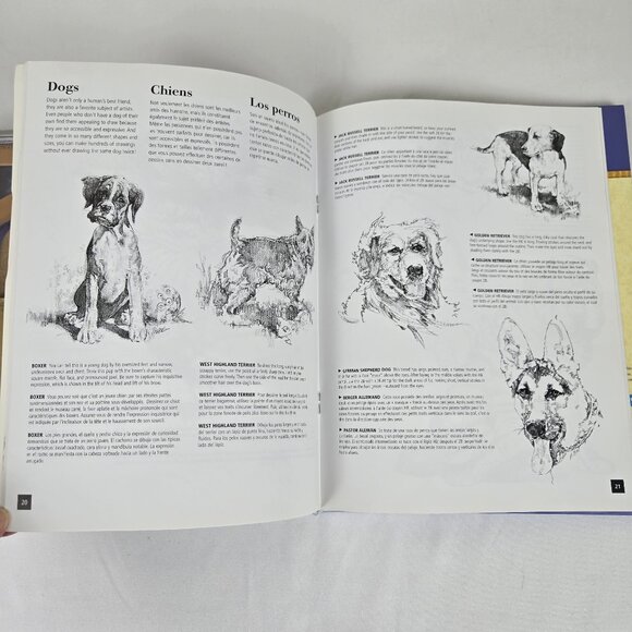 Bundle of Pencil Drawing Books and Graphite Pencils Arts Adult Teen - Picture 11 of 15